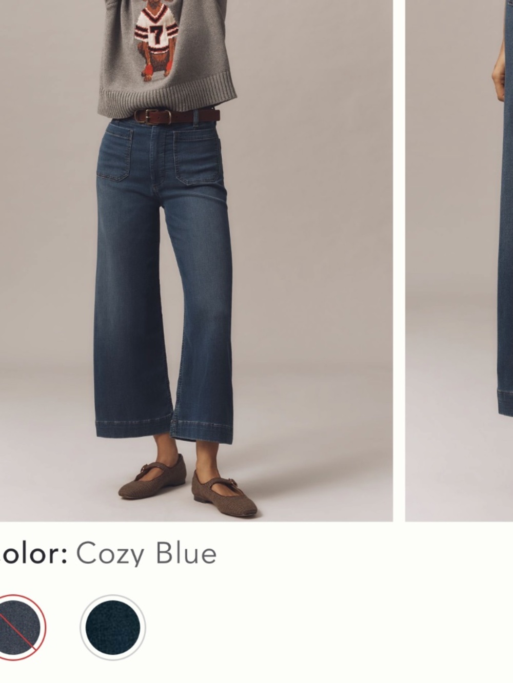 Maeve The Colette Crop High-Rise Wide-Leg Jean 24 TALL Anthropologie Denim